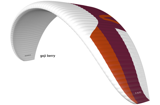 Skywalk X-Alps EN-D